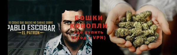 индика Волоколамск